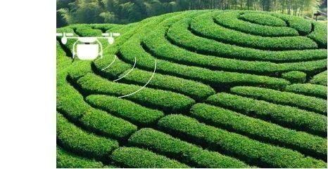 바람을 막는 살충제 분사 드론 빠른 방출 구조로 편리합니다