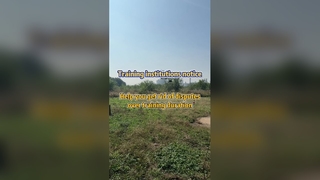 정밀 작물 살포 드론으로 훈련 분쟁 해결